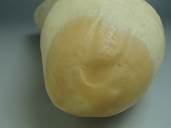 鯨歯 マッコウクジラ 彫刻・印材・根付用 745g 高価買取しました。千葉