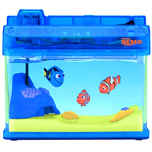 どうしてもニモを飼ってみたいなら - now and then