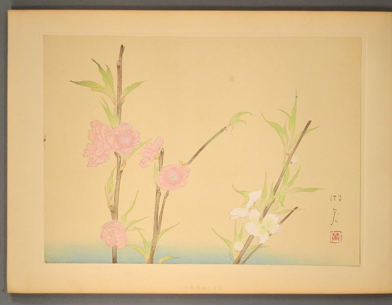 Shinshin Meika Kachō Sen 新進名家花鳥選 Vol.1 | publisher Maria