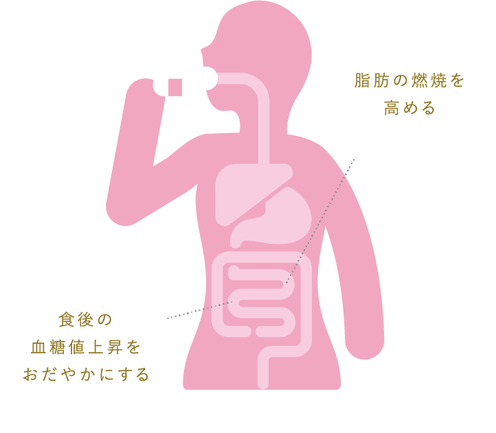 アストレアプラス｜商品一覧｜希少糖アルロース アストレア公式通販