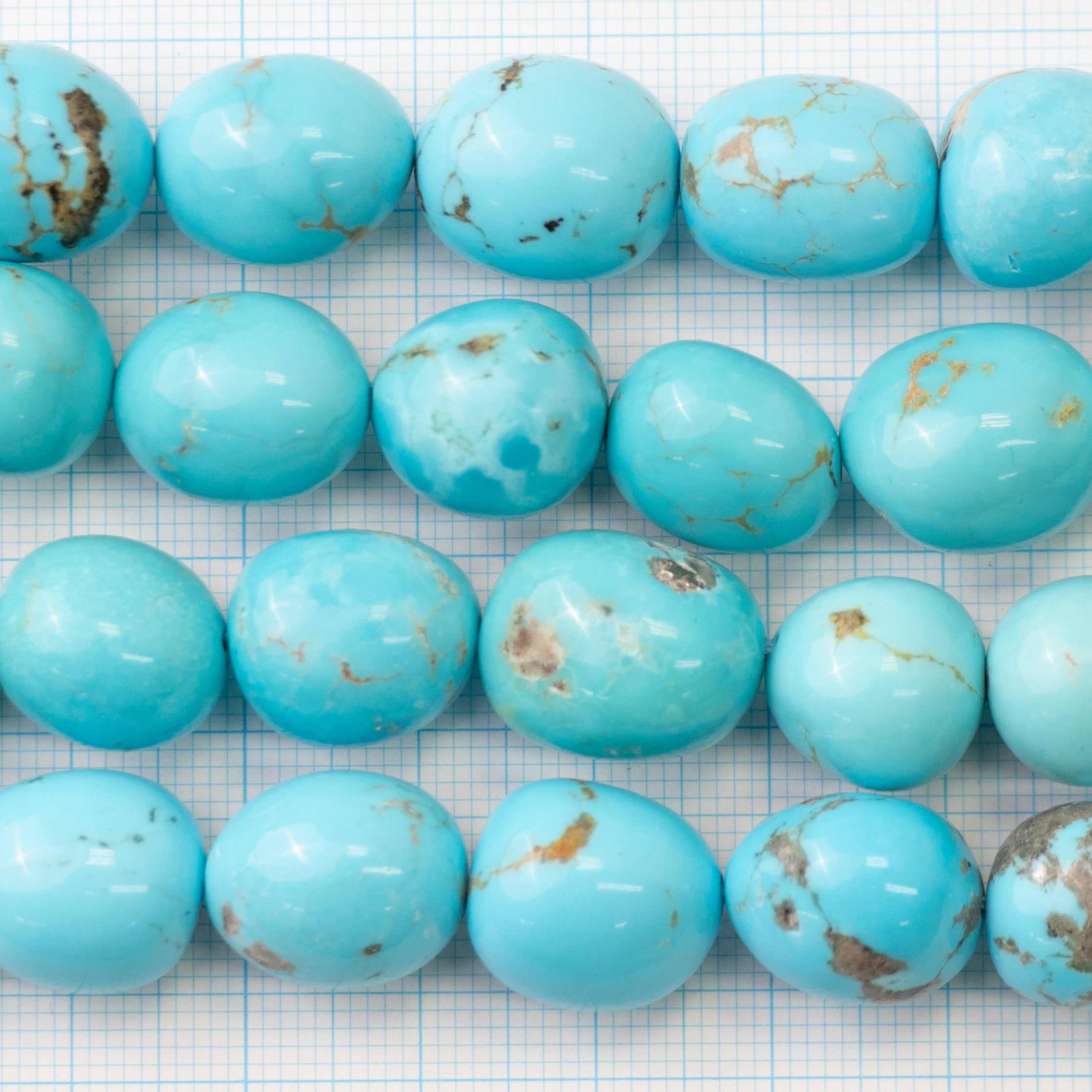 Turquoise – 有限会社ラトウナサガル