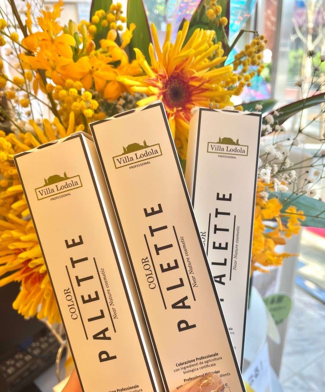 ヴィラロドラカラー パレット | ブログ | 篠崎の美容室ならラ・ヴェルデ