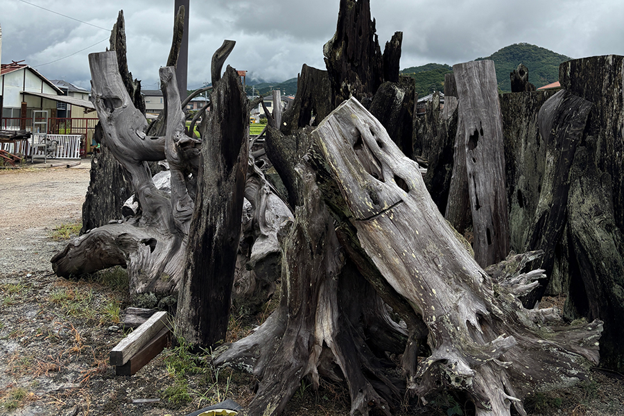 1000年チーク「オブジェ」 – 一枚板の通販 rewood