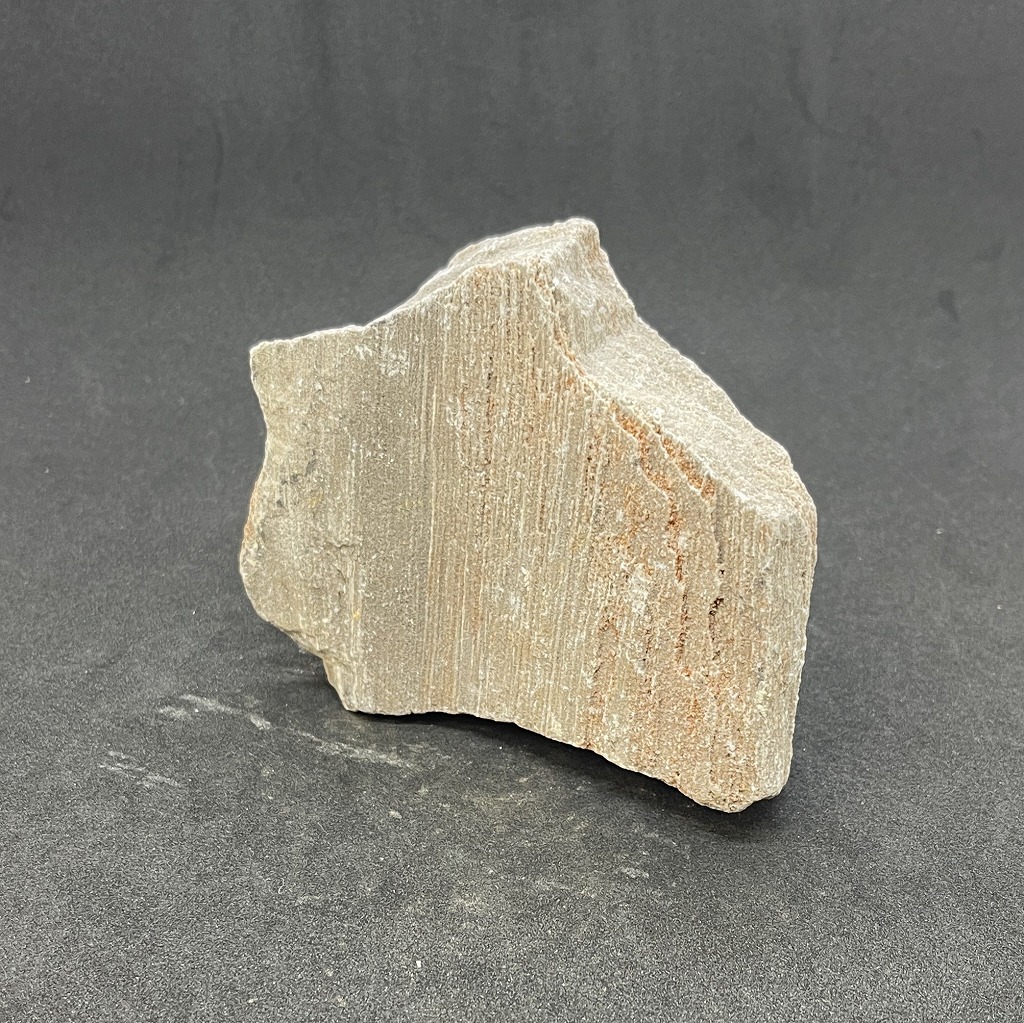 石炭になれなかった木の話 | 名古屋のペットショップRemix【リミックス