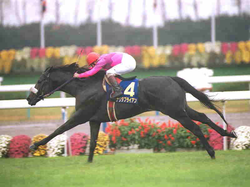ナリタブライアンの伝説的な菊花賞と皐月賞の成績 | 名馬＆ジョッキー