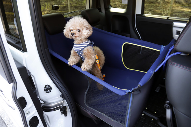 ホンダ 新型 N-BOX Customで愛犬と日帰りドライブ…安全で快適なペット