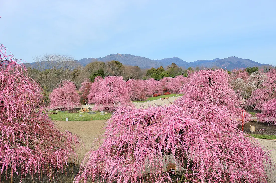 開運初旅！】わく鉄スタンプラリー｜JR東海