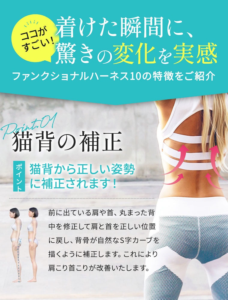 ファンクショナルハーネス、革新のサポートウェア登場！｜医療機器
