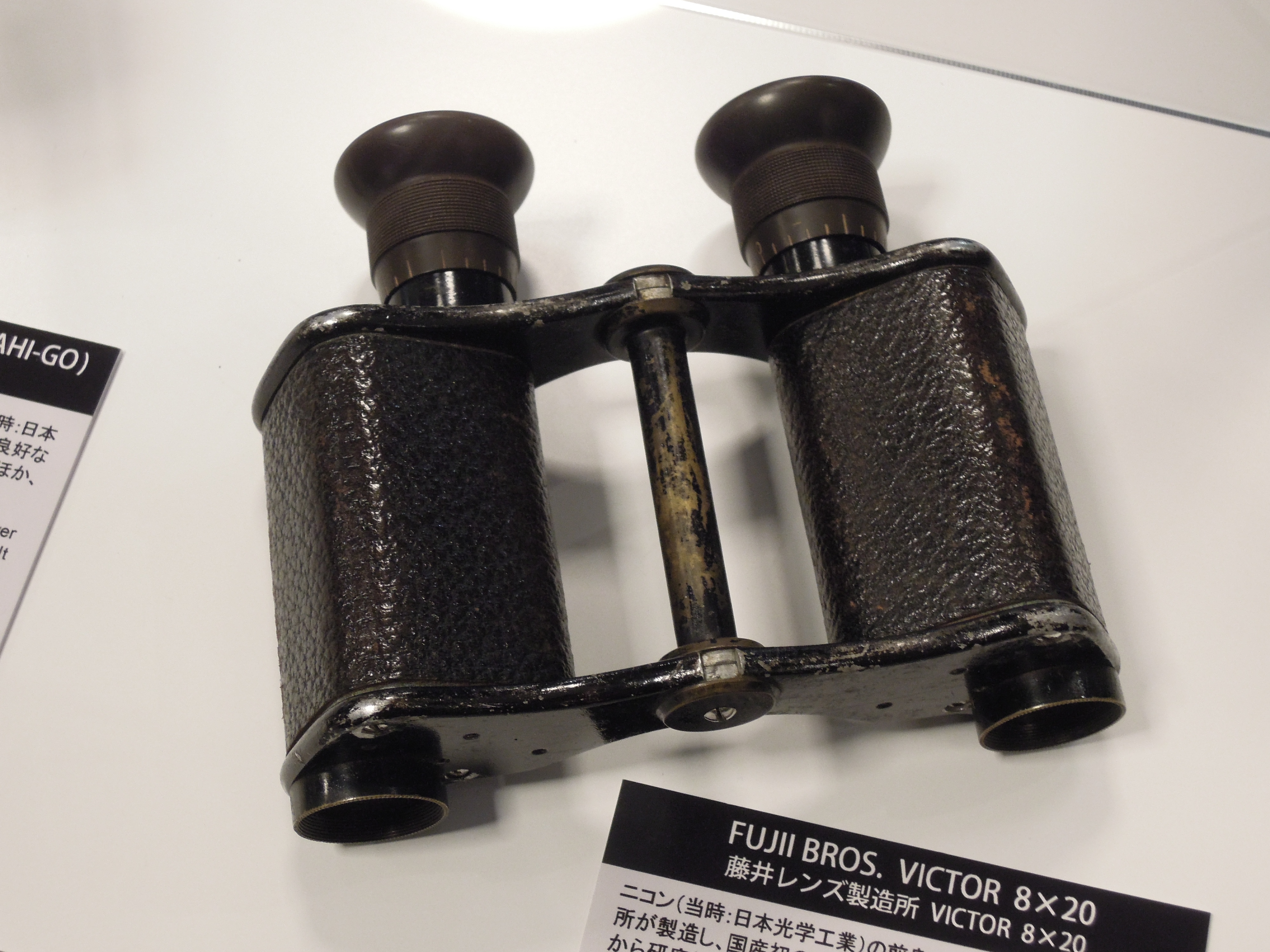 Nikon Binoculars 100 Chapter 5