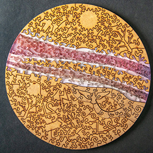 6月入庫分予約】宇宙の破片 JUPITER 木星と専用フレームセット – ご