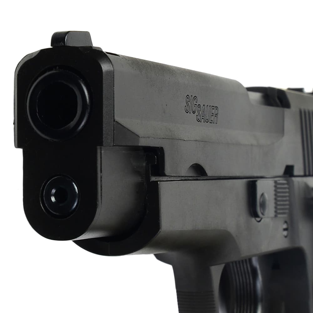 TANAKA WORKS 発火式モデルガン SIG P226 アーリータイプ Evolution2