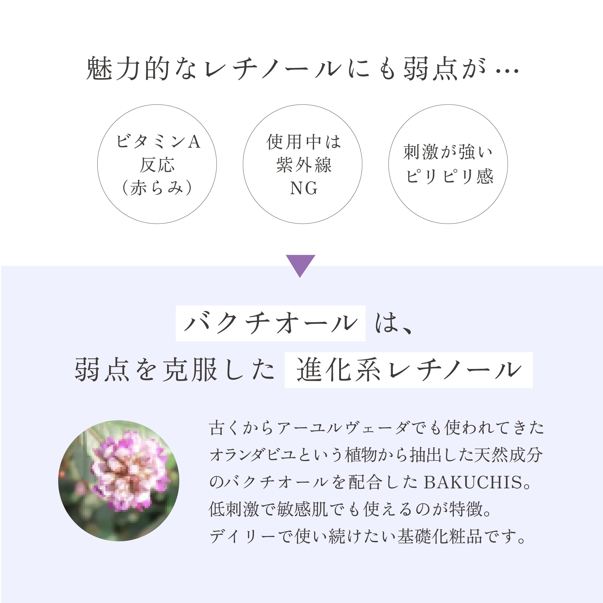 バクチスセラム｜BAKUCHIS_SERUM｜バクチオール配合美容液 – リゾナス