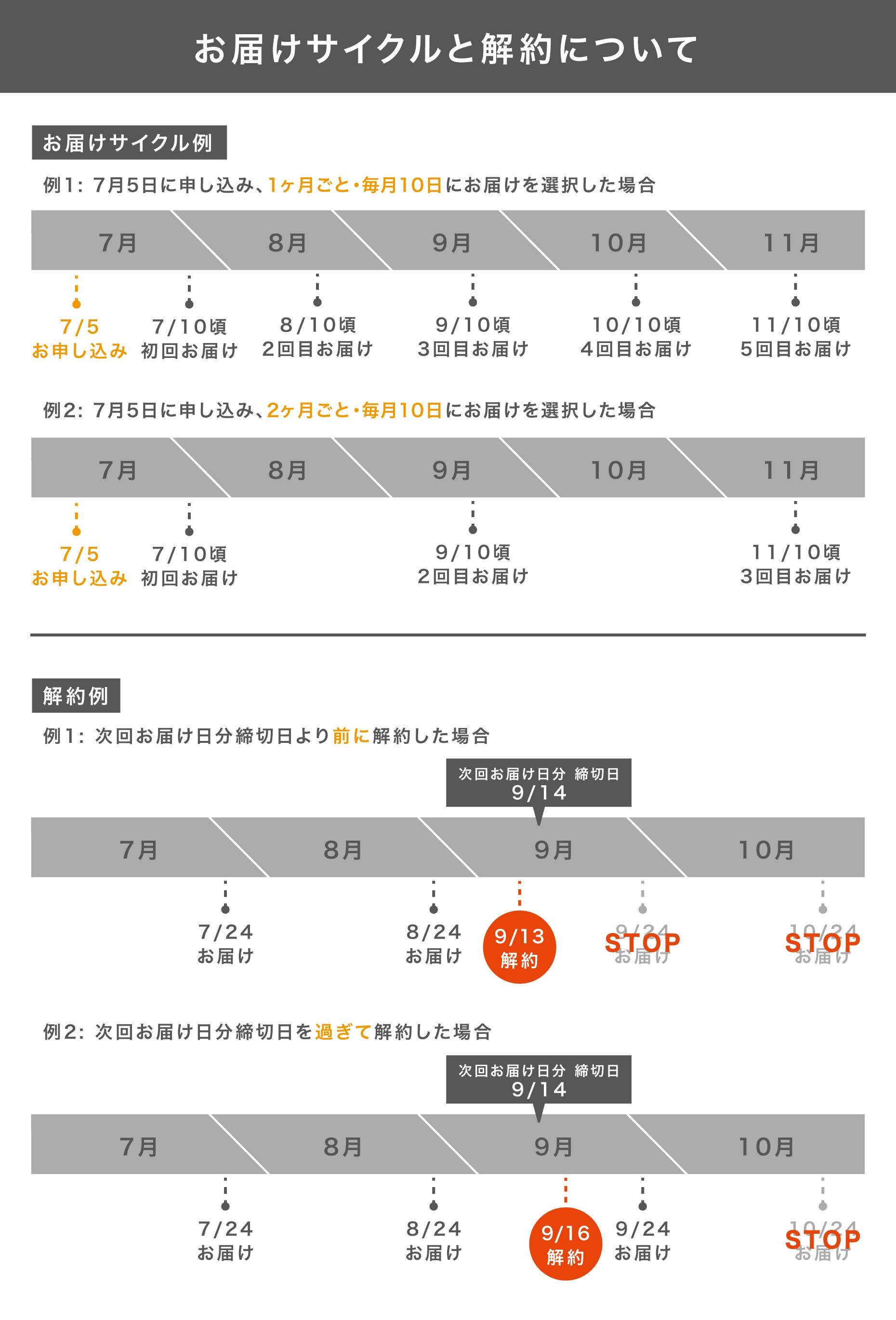 SCALP Hair Shampoo - ReZARD beauty