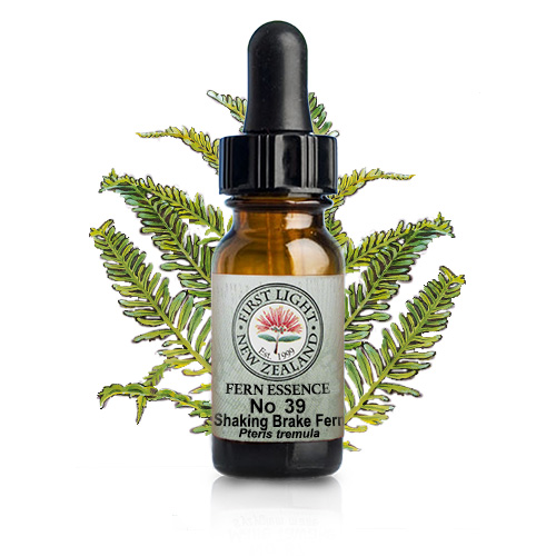 無力化のトラウマケアNZフラワーエッセンス販売 | 自然療法専門店