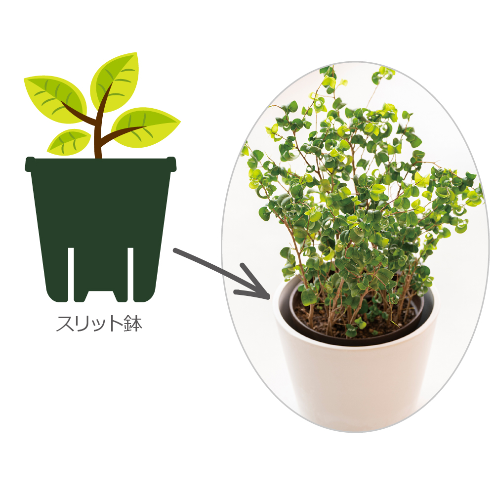 ボタニー ハイドポット 23型 | リッチェル公式ウェブショップ