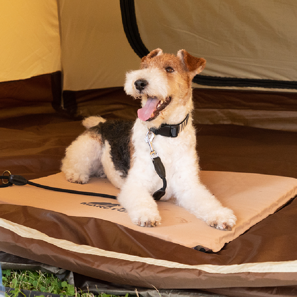 マークタス ポータブル ベッド 70-70 | リッチェル公式ウェブショップ