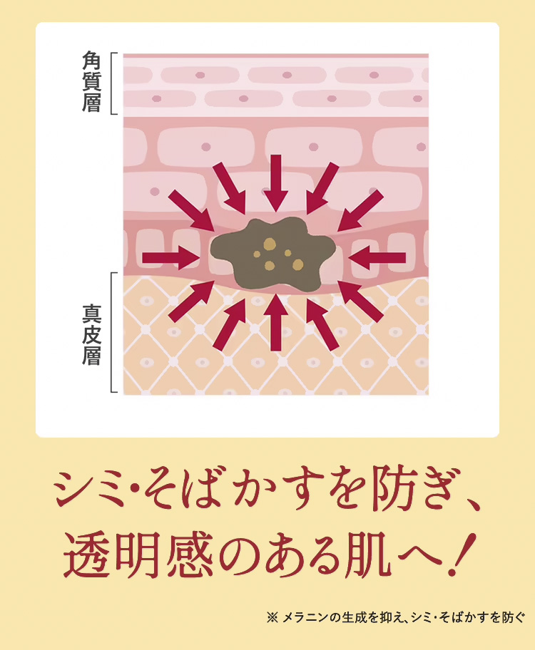 HARIUL ハリウル - 【公式】RITA COSME/リタコスメ