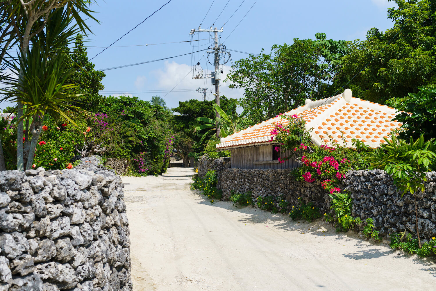 竹富島で暮らすように旅して、唯一無二の魅力を感じる | 沖縄離島専門