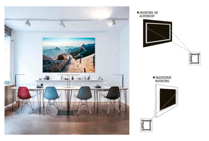 YK_COLLECTOR_white_800x.jpg?v=