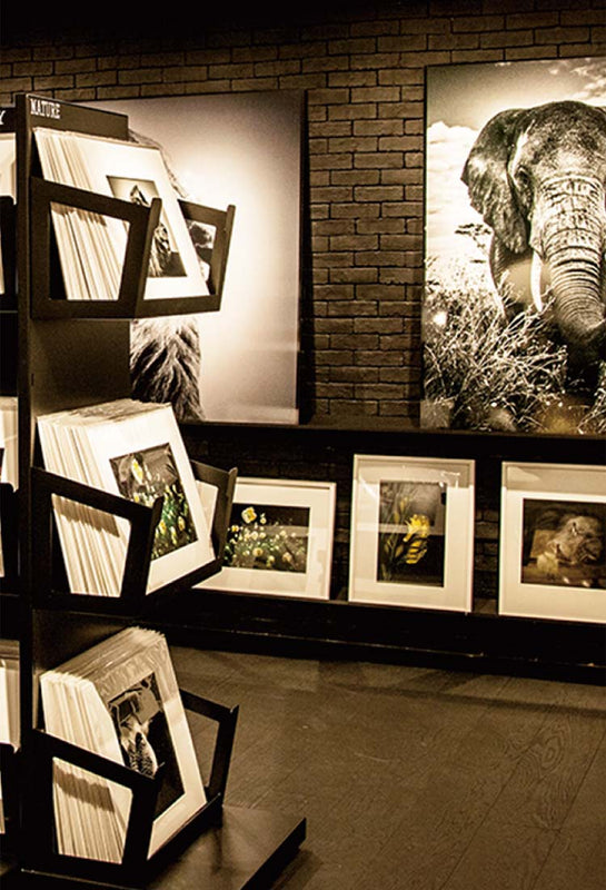 YellowKorner（イエローコーナー）について - イエローコーナー公式