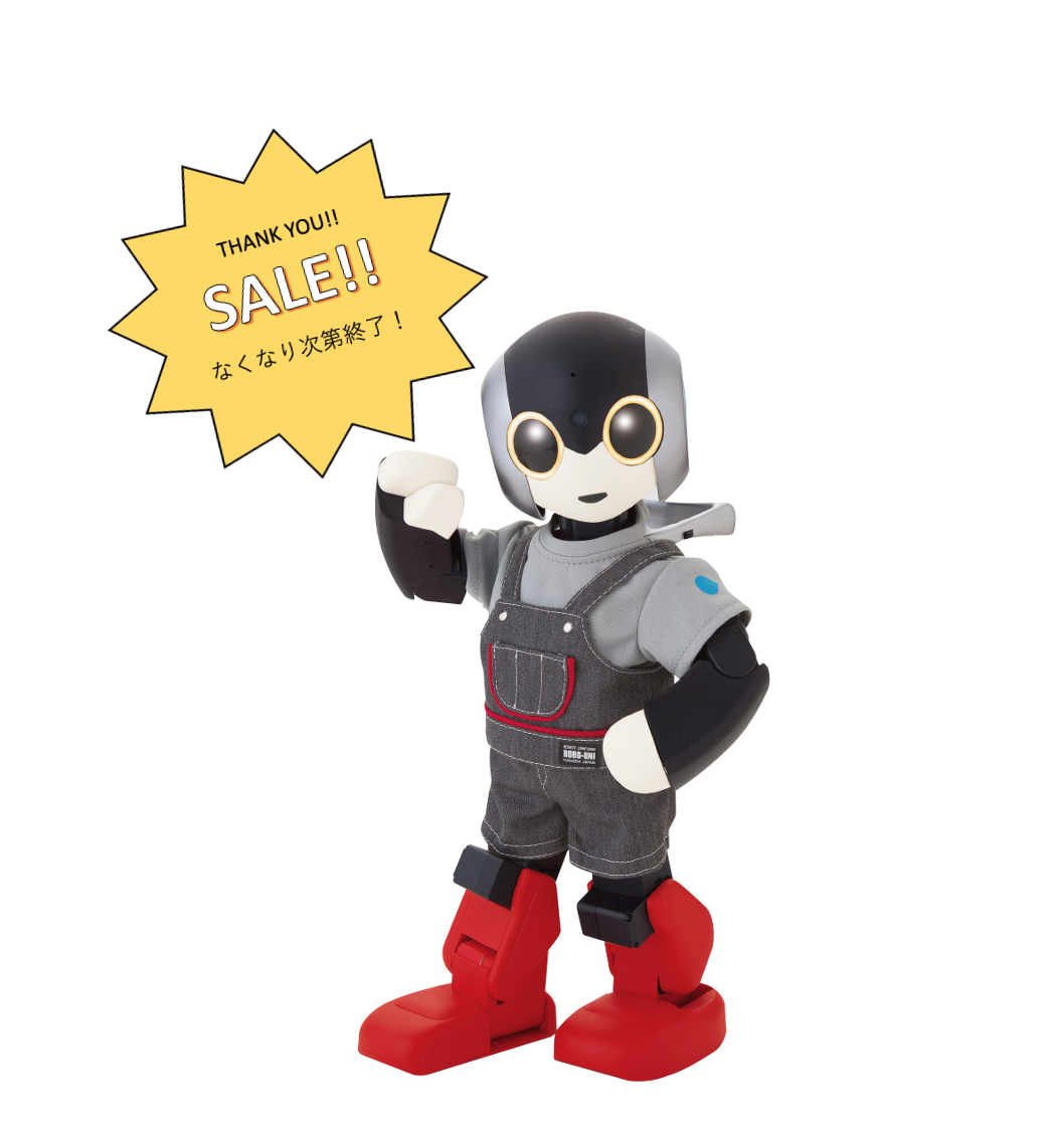 ロビ2【組立済み完成品】ニットTシャツ付き（現在は販売しておりませ