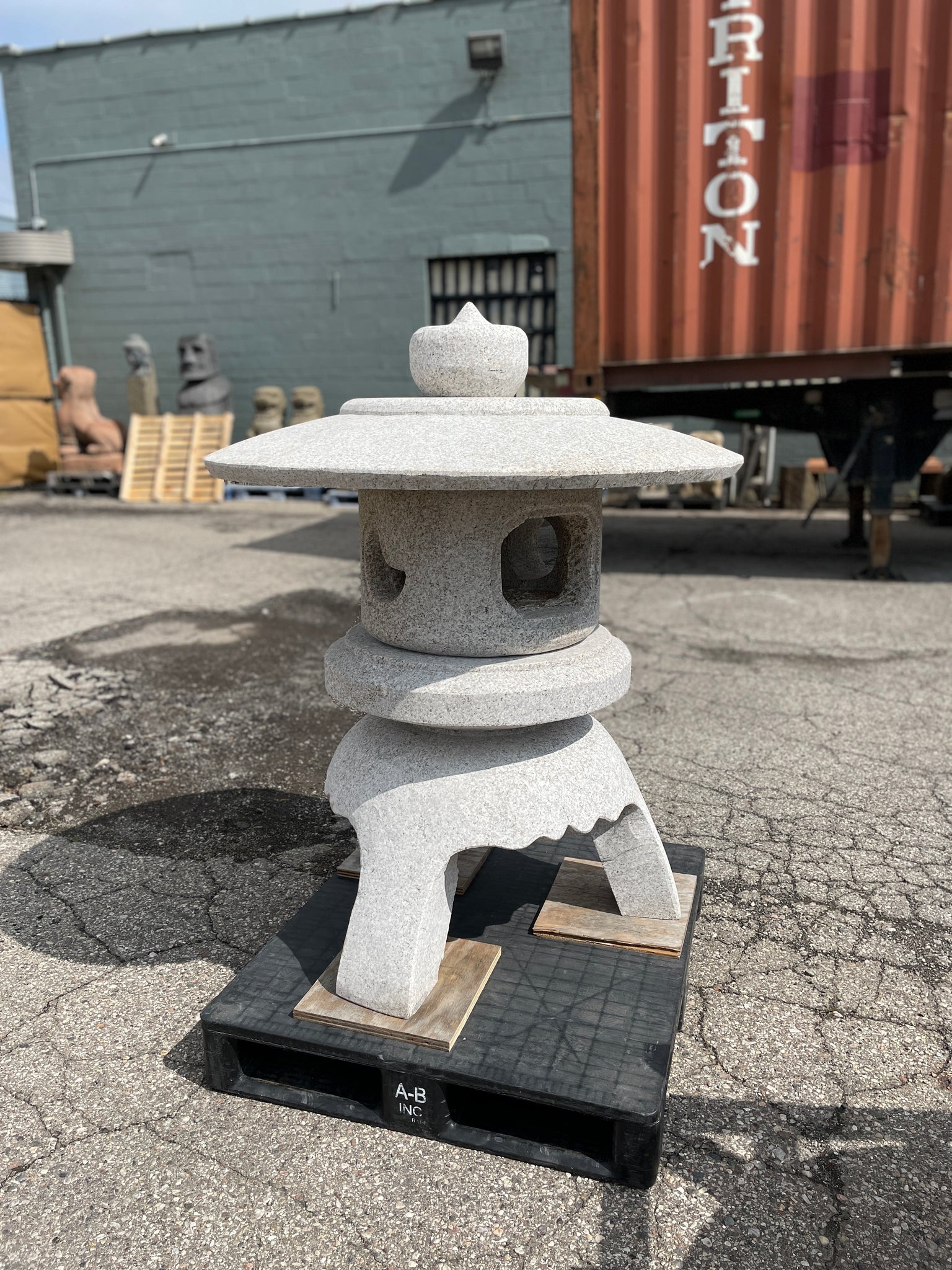 Kodai Maru Yukimi – Rock Garden Imports