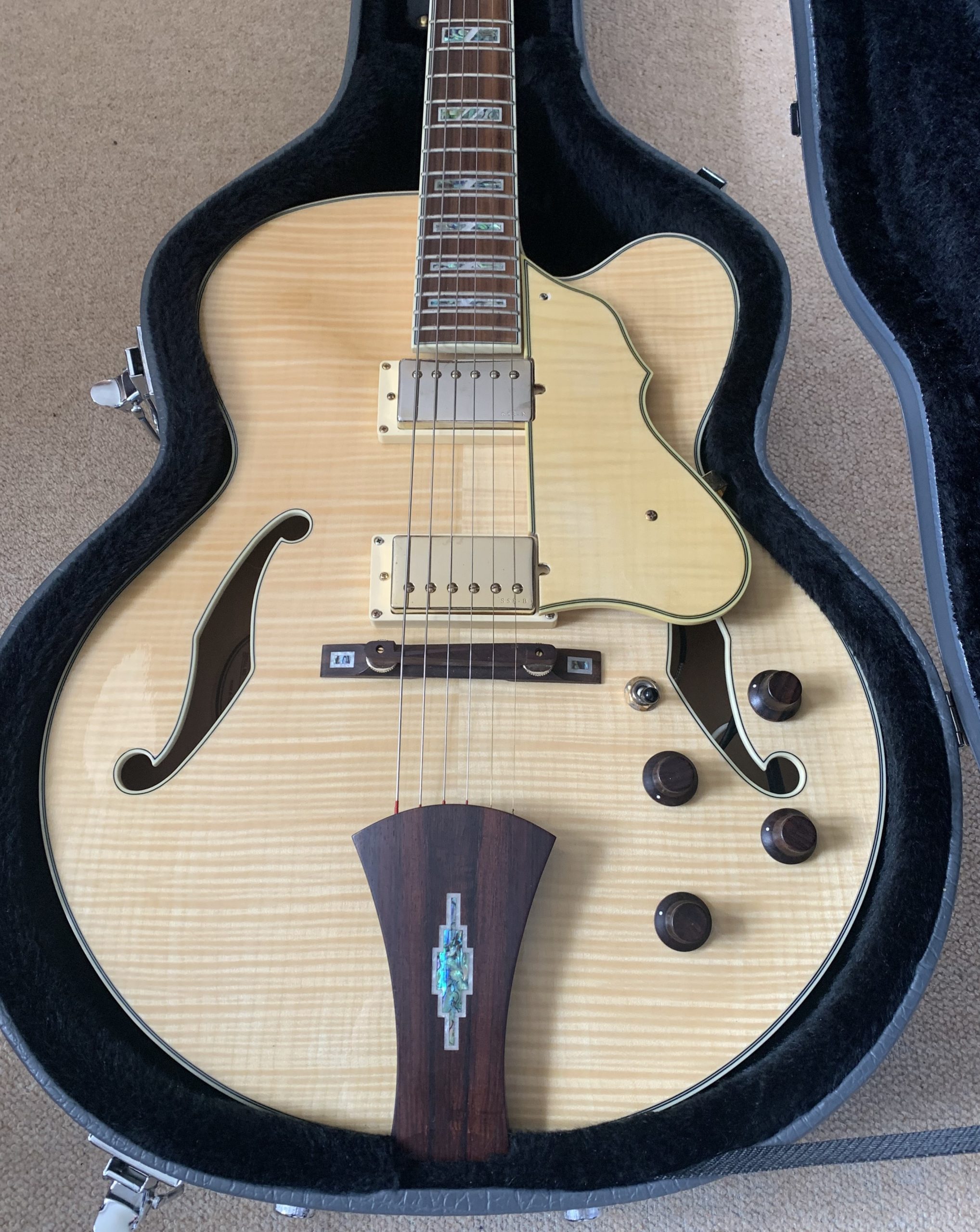 Ibanez AF105 Artcore Custom - Rock Stock Stores