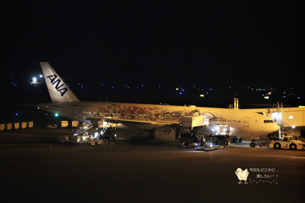 鬼滅の刃』じぇっと 参」は真っ白の機体！2023年6月10日～16日は固定