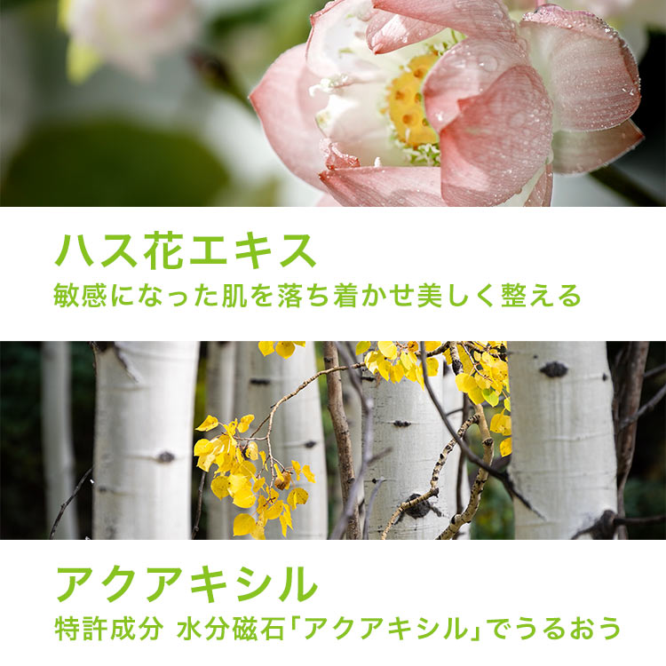 保湿クリーム カーミング ロータスクリーム｜ロベクチン日本公式サイト