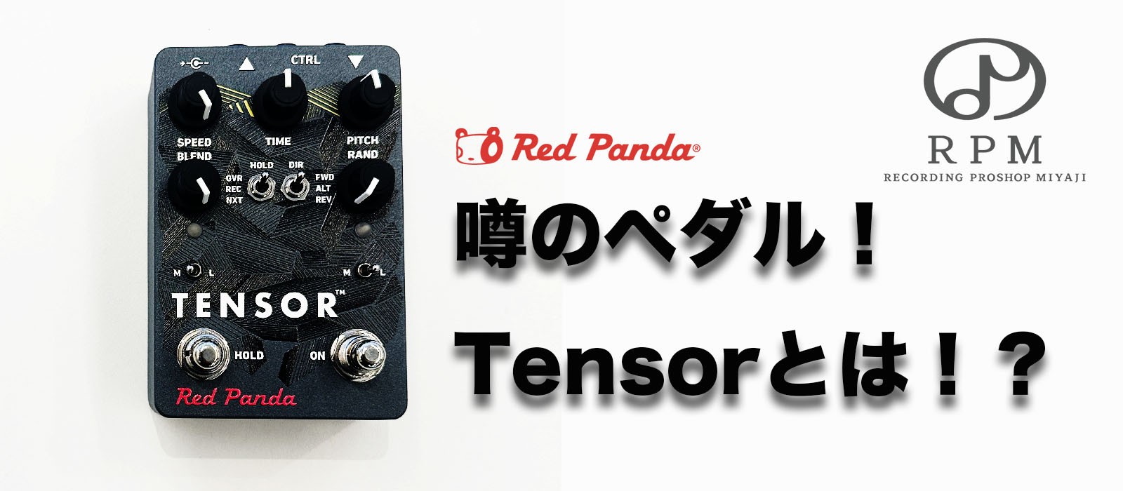 噂のペダル！Red Panda Tensorとは！？ | RPM（Recording Proshop Miyaji）