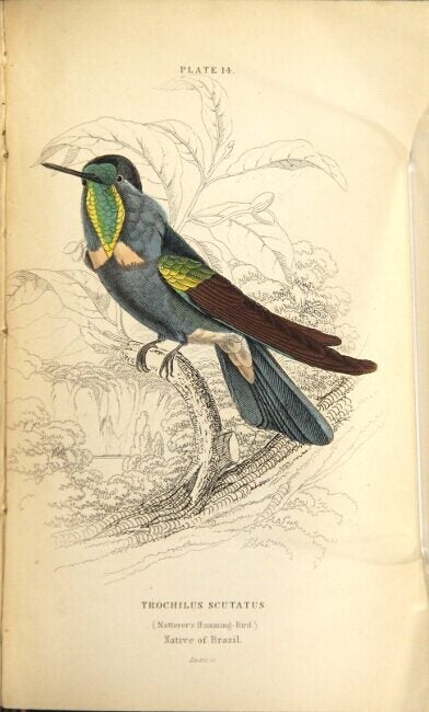 The naturalist's library | William Jardine