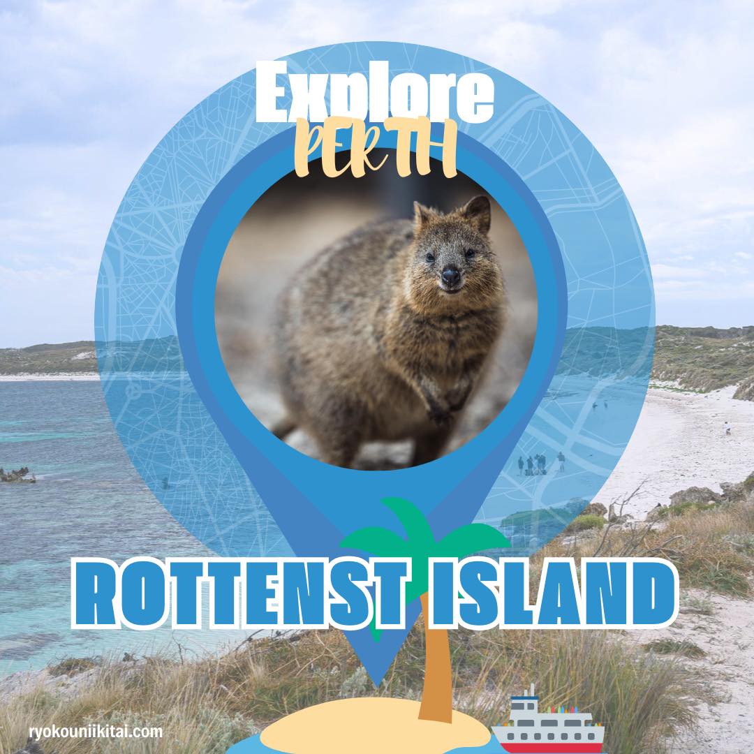 世界一しあわせな動物クオッカに会いにゆく！」ロットネスト島ツアーガイド