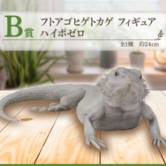 リアルで可愛い「一番くじ 爬虫類＆両生類」第2弾の全ラインナップ公開