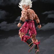 クリリンのことかーっ!!!!!」を完全再現！「ドラゴンボールZ」ジャンプ