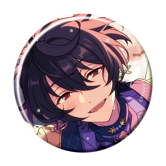 あんさんぶるスターズ！！ コレクション缶バッジ 2024 Sep.-Idol Side