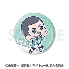 ハイキュー！！ わちゃっと！トレーディング缶バッジ 青葉城西 9個入り