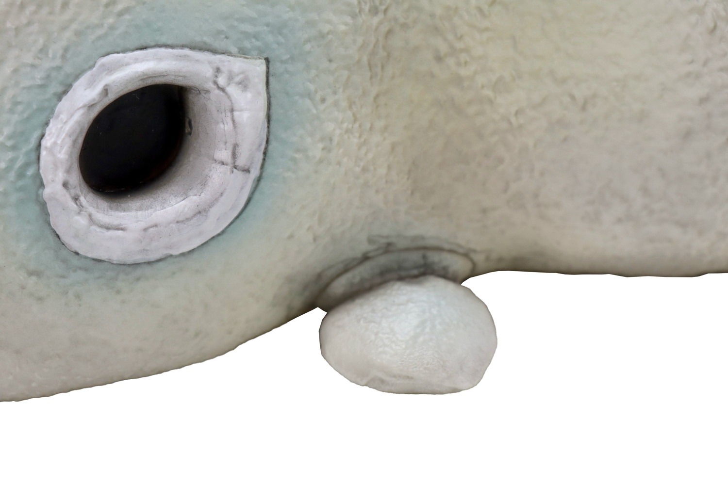 CCP 1/6特撮シリーズ 二次元怪獣 ガヴァドン（A）｜ホビーの総合通販