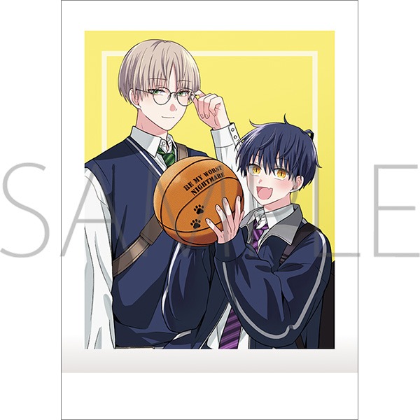 誰か夢だと言ってくれ ぱしゃこれ 10個入り1BOX｜ホビーの総合通販