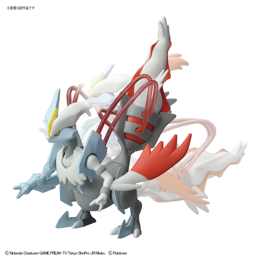 ポケプラ セレクトシリーズ ブラックキュレム＆ホワイトキュレムセット