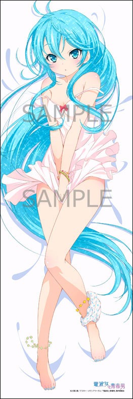 電波女と青春男 抱き枕カバー 藤和エリオ｜ホビーの総合通販サイト