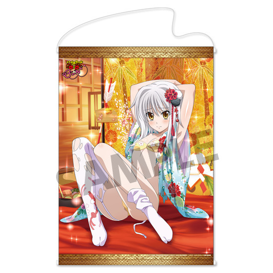 ハイスクールD×D BorN B2タペストリー 塔城小猫｜ホビーの総合通販