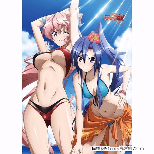 戦姫絶唱シンフォギアGX B2タペストリー 翼＆マリア 水着｜ホビーの