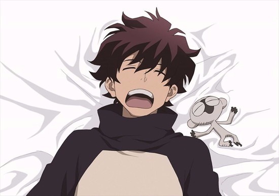 血界戦線 描き下ろし レオナルド・ウォッチ 枕カバー｜ホビーの総合