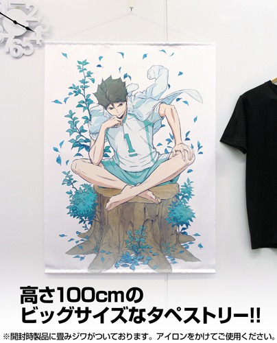 ハイキュー！！ TO THE TOP 及川徹 100cmタペストリー｜ホビーの総合