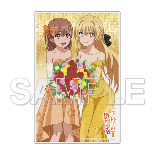 とある科学の超電磁砲T 御坂美琴＆食蜂操祈 アクリルプレート｜ホビー