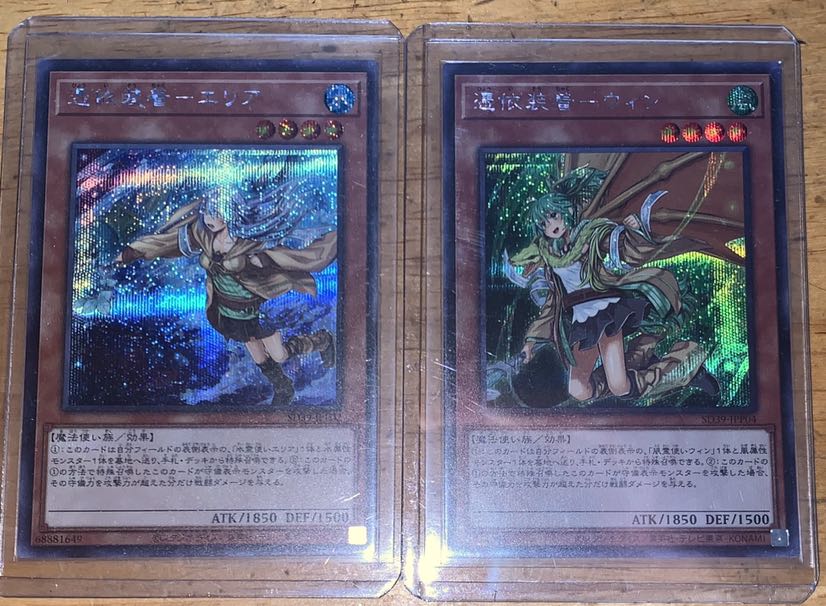 即購入可】憑依装着ウィン エリア 絵違いシークレット 1枚の通販 田中