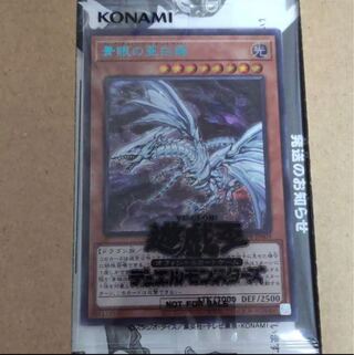 ブルーシークレット」の激安通販 | magi