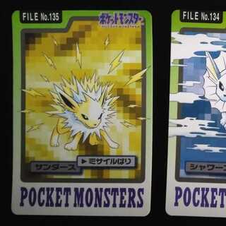 ポケカ(カードダス)のカード販売・通販 | magi