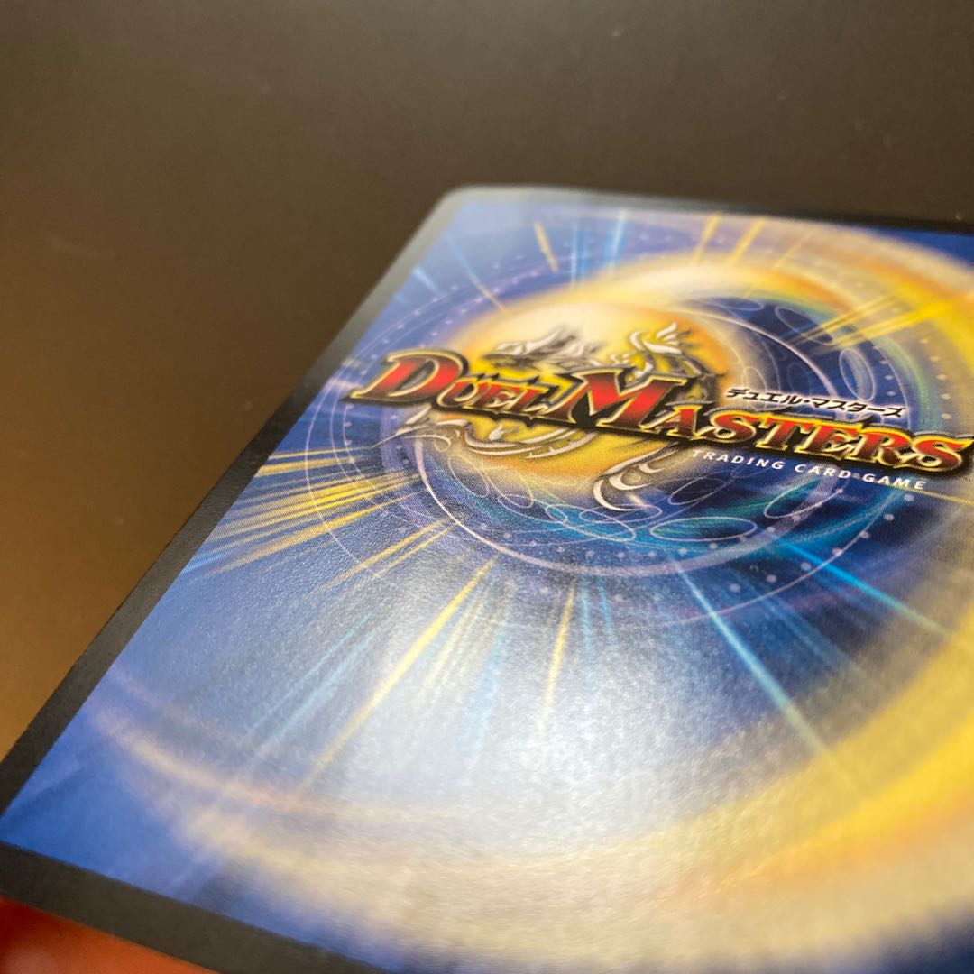 謹賀新年 ホリデーカード forbidden new year 禁賀新年 プロモ 1枚の