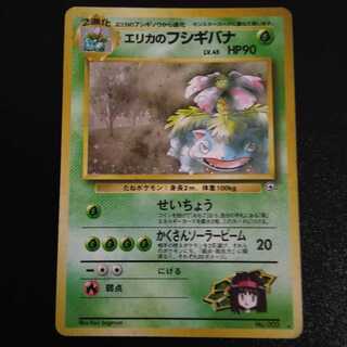 エリカのフシギバナ」の激安通販 | magi